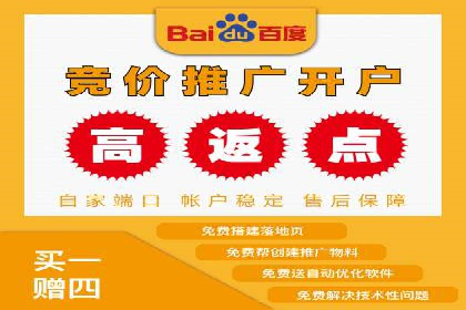 竞价广告案例：网络推广新思路